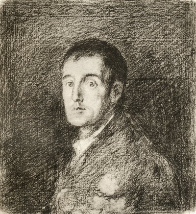 Arthur Wellesley - Francisco (after) Goya y Lucientes