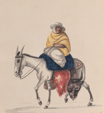 Un boucher à dos d