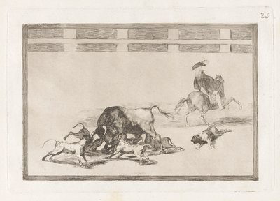 Ils lâchent des chiens sur le taureau, Planche 25 de La tauromachie - Francisco de Goya