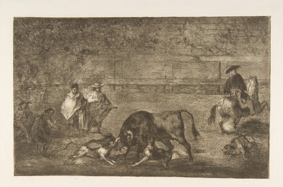 Planche C : Les chiens lâchés sur le taureau, vers 1816 - Francisco de Goya