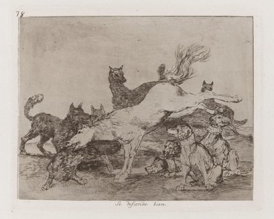 Il se défend bien, planche 78 de Los desastres de la guerra - Francisco de Goya