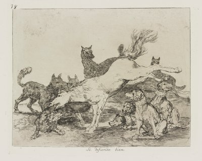 Il se défend bien., pl. 78 de la série Los desastres de la guerra (Les Désastres de la guerre) - Francisco de Goya