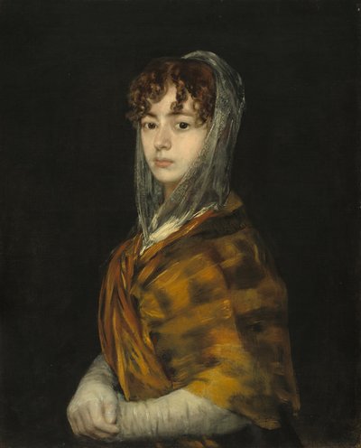 Señora Sabasa Garcia, c. 1806-1811 - Francisco de Goya