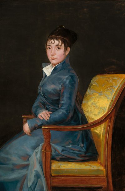 Thérèse Louise de Sureda - Francisco de Goya