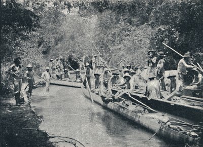 Exploration du Rio de Sto. Anastacio, 1895 - Francisco Henszler