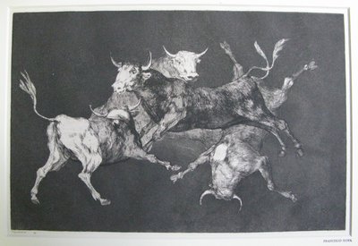 Disparate de tontos (Folie des fous) - Francisco Jose de Goya y Lucientes