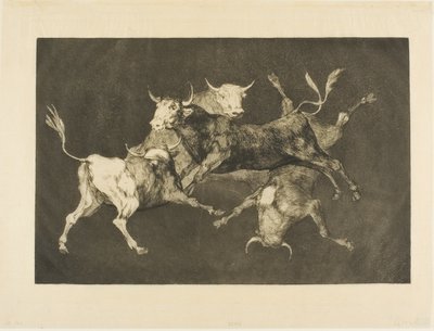 La folie du fou, de Disparates - Francisco Jose de Goya y Lucientes