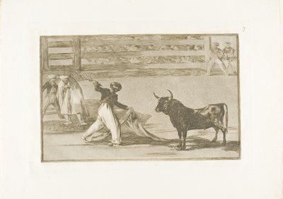 Origine des harpons ou banderilles, planche sept de L