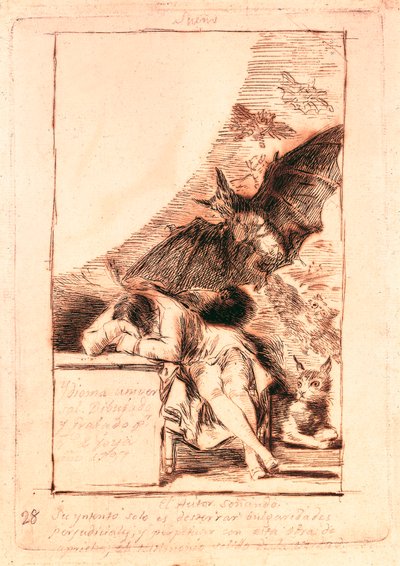 Dessin préparatoire pour le numéro 43 de la série "Les caprices" - Francisco de Goya