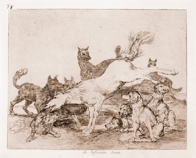 Les Désastres de la guerre : Il se défend bien - Francisco de Goya