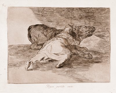 Les Désastres de la guerre : Il récolte quelques bénéfices - Francisco de Goya