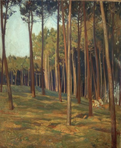 Le pin rouge - Francisco Llorens Diaz