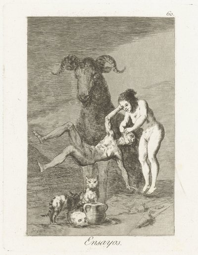 Épreuves - Francisco de Goya