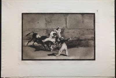 Corridas : Un Maure attrapé par un taureau dans l