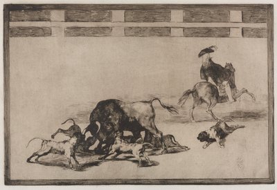 Corridas : Ils lâchent des chiens sur le taureau - Francisco de Goya
