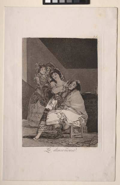 Caprichos: Elle le plume - Francisco de Goya