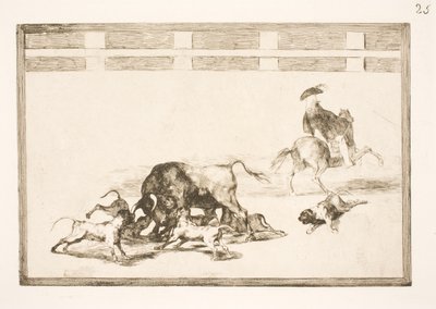 Ils lâchent les chiens sur le taureau - Francisco de Goya