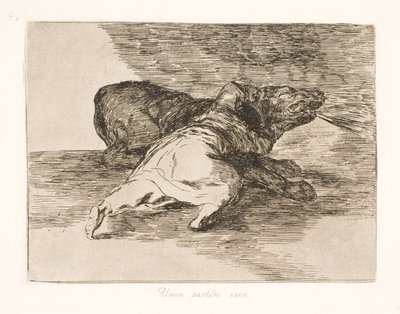 Il en tire quelque chose ! (40) - Francisco de Goya