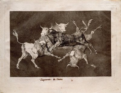 La folie des fous de la série Los Disparates - Francisco de Goya