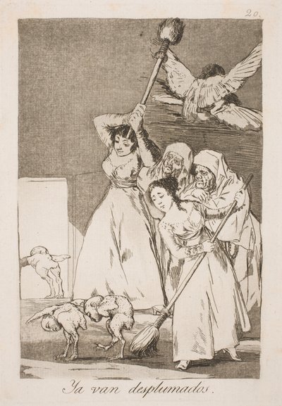 Ici, ils ont été cueillis pour toutes les plumes - Francisco de Goya