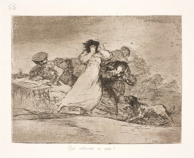 Que signifie cette confusion ? (65) - Francisco de Goya
