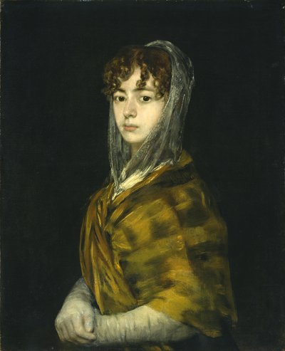 Señora Sabasa Garcia - Francisco de Goya
