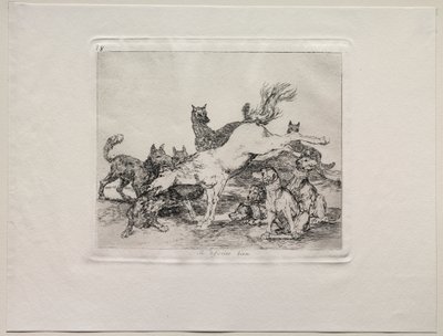 Les horreurs de la guerre : Il se défend bien - Francisco de Goya