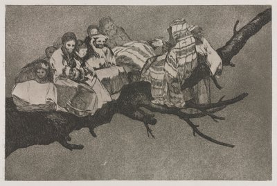 Les proverbes : Folie ridicule - Francisco de Goya