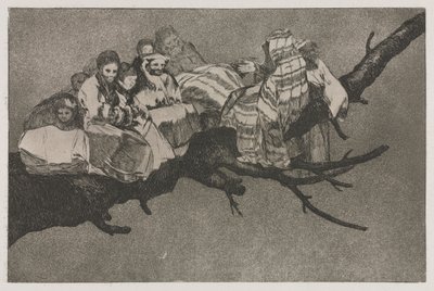 Les proverbes : Folie ridicule, 1864 - Francisco de Goya