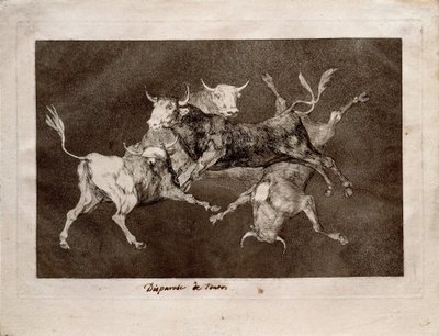 La Folie du Fou - Francisco de Goya