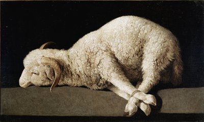 Agnus Dei - Francisco de Zurbaran