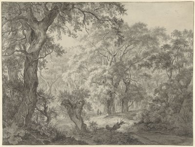 Paysage forestier - Franciscus Andreas Milatz