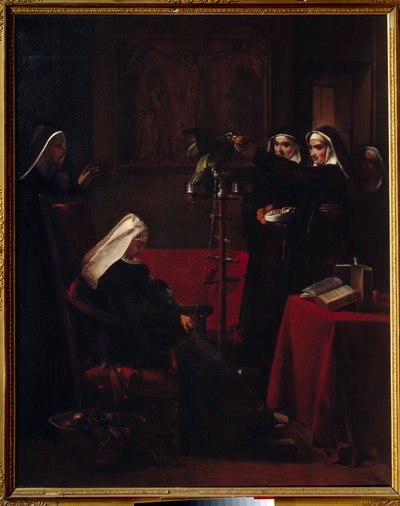Nonnes vertes nourrissant le perroquet d