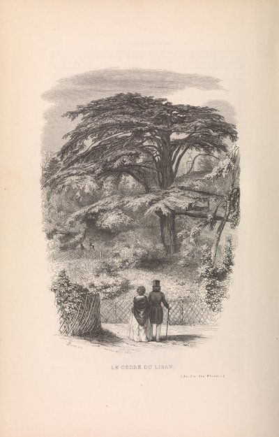 Le Jardin des Plantes, Descriptions et Moeurs des Mammifères, 1842 - Francois Boitard