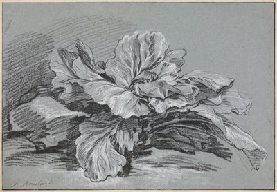 Étude d