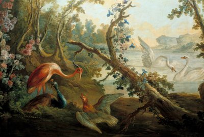 Cygnes et paons - François Boucher