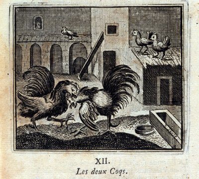 Les deux coqs - Francois Chauveau