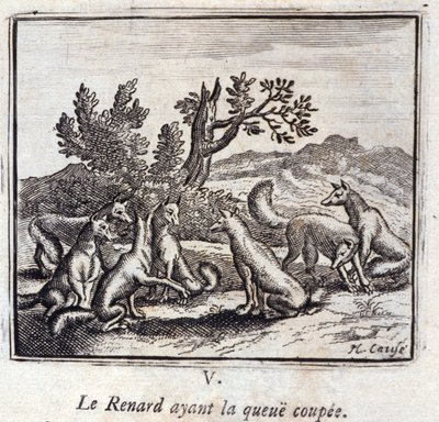 Illustration des 