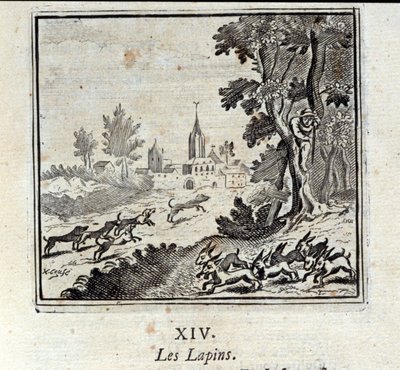 Les lapins - Francois Chauveau