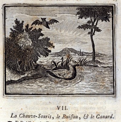 La chauve-souris, le buisson et le canard - Francois Chauveau