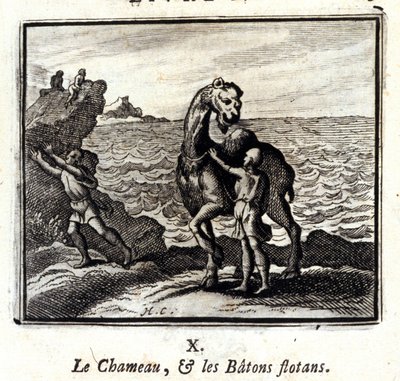 Le chameau et les bâtons flottants - Francois Chauveau