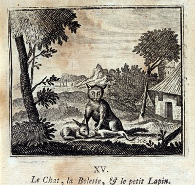 Le chat, la belette et le petit lapin - Francois Chauveau