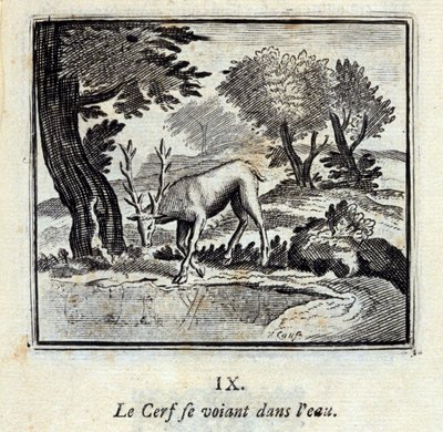 Le cerf se voyant dans l