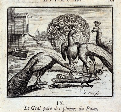 Le geai paré des plumes du paon - Francois Chauveau