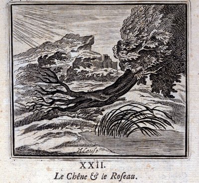 Le Chêne et le Roseau - Francois Chauveau