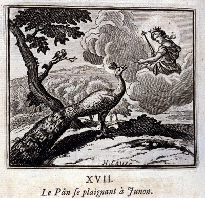 Le Paon se plaignant à Junon - Francois Chauveau