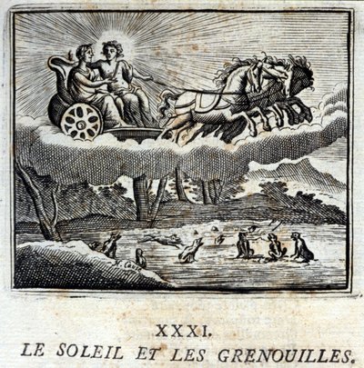 Le soleil et les grenouilles - Francois Chauveau
