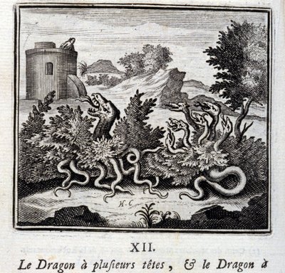 Le Dragon à plusieurs têtes et le Dragon à plusieurs queues - Francois Chauveau