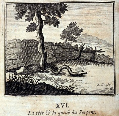 La Tête et la Queue du Serpent. Fables de Jean de La Fontaine (1621-95). Illustration de François Chauveau (1613-1676). Édition de 1728. - Francois Chauveau