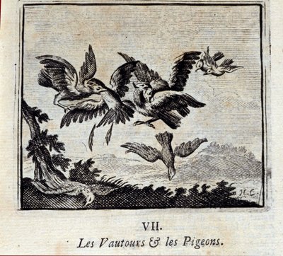 Les Vautours et les Pigeons - Francois Chauveau
